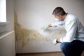  , USA Mold Prevention & Removal Pros